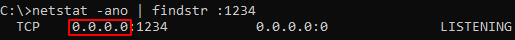 netstat any interface