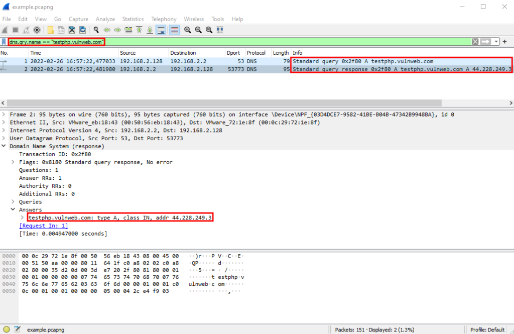 DNS display filter